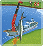 オーシャンクレーン